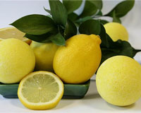 Лимон. Лечебные свойства лимона