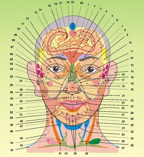 Самодиагностика здоровья по точкам на лице и шее