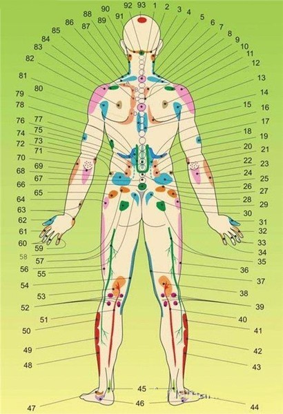 Самодиагностика здоровья по задней части тела