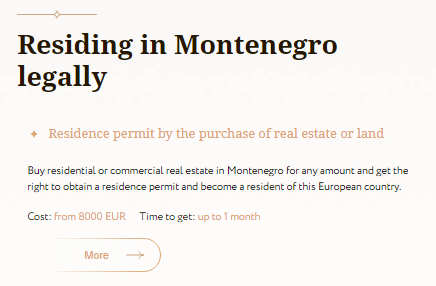montenegro invests информация